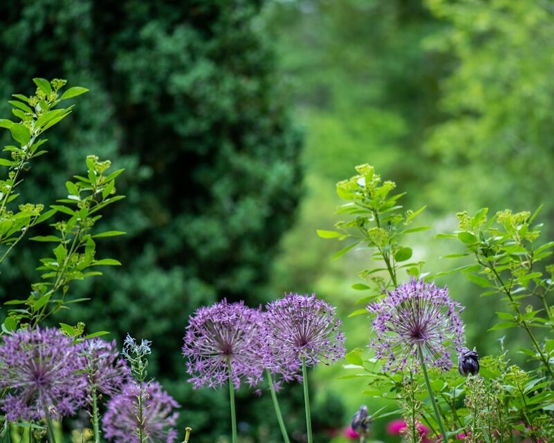 Kom lang bij tuincentrum Apeldoorn en maak jouw tuin klaar voor de lente! 